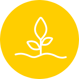 Pflanze Icon